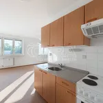 Rent 1 bedroom apartment in Capital City of Prague