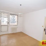 Rent 1 bedroom apartment in Brno