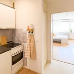 Rent 1 bedroom apartment of 30 m² in Wiesbaden