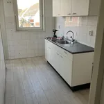 Rent 3 bedroom apartment of 65 m² in dordrecht