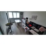 Rent 2 bedroom apartment of 50 m² in St