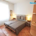 Rent 2 bedroom apartment of 50 m² in Novara