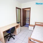 Rent 2 bedroom apartment of 32 m² in Novara