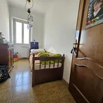 Rent 3 bedroom apartment of 75 m² in Roma