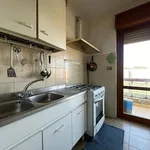 Rent 3 bedroom apartment of 110 m² in Roma