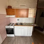 Rent 1 bedroom apartment of 40 m² in Chomutov