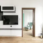 Rent 2 bedroom apartment in Praha 5