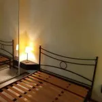 Rent 2 bedroom apartment of 50 m² in Rome