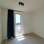 Huur 1 slaapkamer appartement in Antwerpen