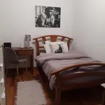 Rent 4 bedroom apartment in Lisbon