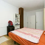 Habitación en granada