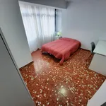 Alquilar 5 dormitorio apartamento en Alicante