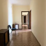 Rent 4 bedroom apartment of 200 m² in catanzaro