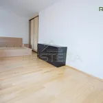 Rent 3 bedroom apartment of 84 m² in Vilnius