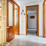 Alquilo 2 dormitorio apartamento de 809 m² en  Mairena del Aljarafe