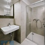 Rent 1 bedroom apartment in Praha 4