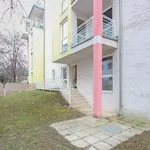 Rent 2 bedroom apartment of 60 m² in Vienna