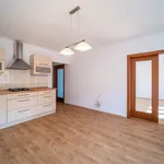 Pronajměte si 3 ložnic/e byt o rozloze 67 m² v České Budějovice