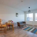 Rent 2 bedroom apartment of 41 m² in Lieto