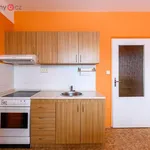 Rent 2 bedroom apartment of 44 m² in Plzeň