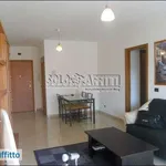 Rent 3 bedroom apartment of 80 m² in Genoa