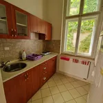 Rent 1 bedroom apartment in Brno