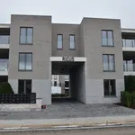 Rent 2 bedroom apartment in Tongeren