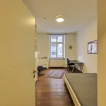 Rent 1 bedroom apartment of 48 m² in Dusseldorf