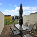 Rent 3 bedroom apartment in Braddon