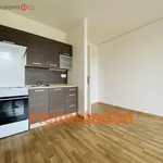 Rent 1 bedroom apartment of 28 m² in Ostrava