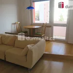 Rent 2 bedroom apartment of 48 m² in Zlín