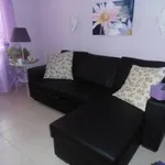 Rent 2 bedroom apartment of 55 m² in Follonica