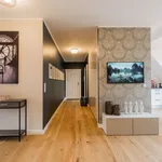 Rent 1 bedroom apartment in berlin