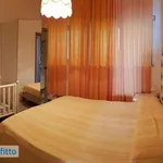 Appartamento arredato con terrazzo Anzio