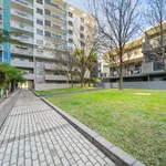 Rent 1 bedroom apartment of 65 m² in braddon