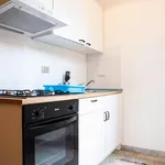 Rent 4 bedroom apartment in Rome