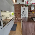 Rent 1 bedroom apartment of 50 m² in Capital City of Prague