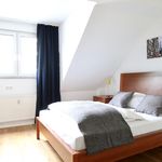 Rent 1 bedroom apartment of 40 m² in Cologne