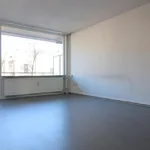 Huur 3 slaapkamer appartement van 76 m² in Zeist