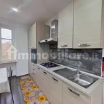 Rent 1 bedroom apartment of 30 m² in Turin