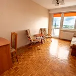 Rent 3 bedroom apartment of 45 m² in Toruń