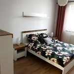 Rent 2 bedroom apartment of 42 m² in Gorzów Wielkopolski