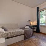 Rent a room of 120 m² in madrid