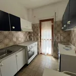 Rent 2 bedroom apartment of 70 m² in Roma