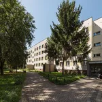 Rent 4 bedroom apartment of 73 m² in Warszawa Praga-Południe Gocław