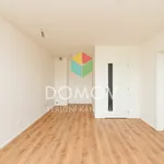 Rent 2 bedroom apartment in Beroun