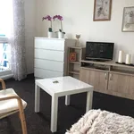 Rent 1 bedroom apartment in Rakovník