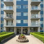 Appartement de 548 m² avec 1 chambre(s) en location à Vancouver