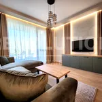 Rent 2 bedroom apartment of 65 m² in Остромила