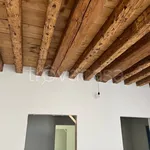 Affitto 4 camera appartamento di 142 m² in Padova